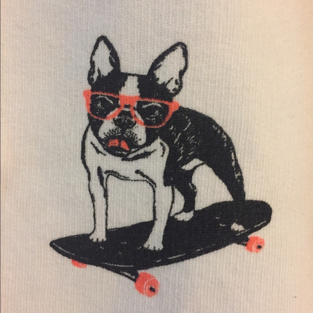 Boston Terrier cool dog print H&M sweater